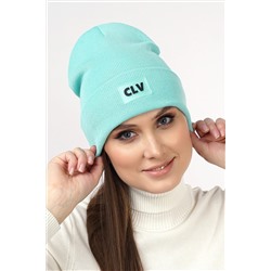 Шапка CLEVER #928205