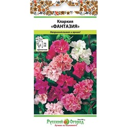 Кларкия Фантазия (НК)