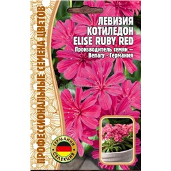 Левизия Котиледон Elise Ruby Red (Редкие)