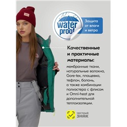 Горнолыжный костюм женский зимний бирюзового цвета 0709_1Br