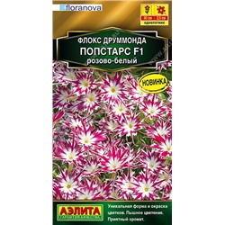Флокс Попстарс F1 розово-белый (Аэлита)