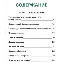Сказки птички-невелички. Кастрючин В А