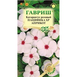 Катарантус Пацифика XP Априкот (Гавр)