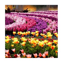 Алмазная мозаика на подрамнике 40*50см Море цветов  (матов.) 19цветов AL7627