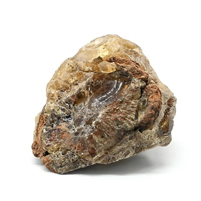Коллекционный янтарь "Копал" 75*62*36мм, 73,2г