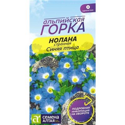 Нолана Синяя птица (Алтай)