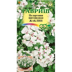 Пеларгония Жаклин ампельная (Гавр)