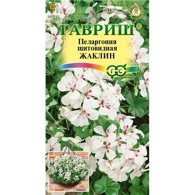 Пеларгония Жаклин ампельная (Гавр)