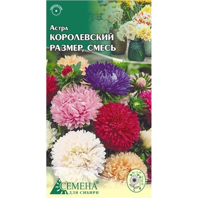 Астра Королевский размер смесь пион., 0,2г (цв.)