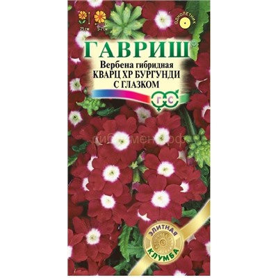 Вербена Кварц XP Бургунди с глазком гибридная (Гав