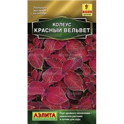 Цв.Колеус Блюме Красный вельвет (Аэлита) 5шт