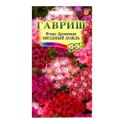 Флокс Звездный дождь (Гавр)