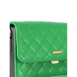 Сумка женская искусственная кожа DJ-CH 21113-GREEN,  1отд,  плечевой ремень,  зеленый 253971
