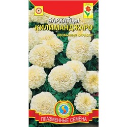 Цв.Барх.Килиманджаро (Плазма) 10шт