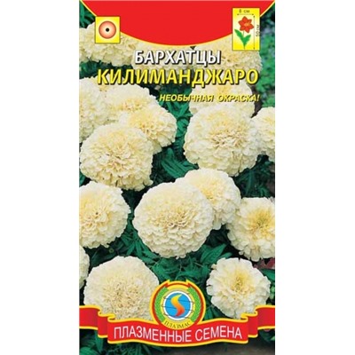 Цв.Барх.Килиманджаро (Плазма) 10шт