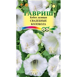 Кобея лазающая Свадебные колокола (Гавр)