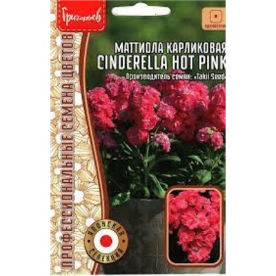 Цв.Маттиола Синдерелла Хот Пинк (Cinderella hot pink) (Григорьев) 5шт