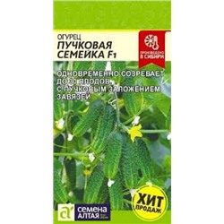 Огурец Пучковая Семейка F1 (Сем.Алтая) 5шт