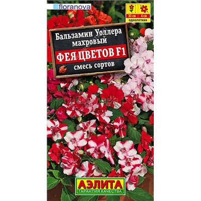 Бальзамин Фея цветов махровый (Аэлита)