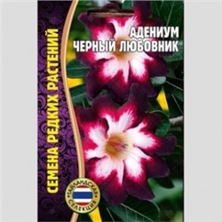 Цв.Адениум Черный любовник (Григорьев) 3шт