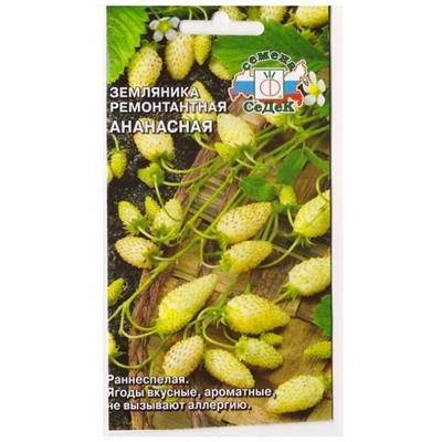 Земляника Ананасная    (Код: 78159)