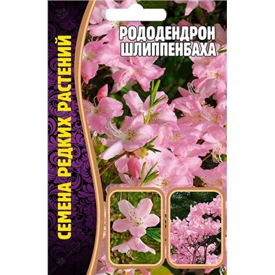 Рододендрон Шлиппенбаха (Редкие)