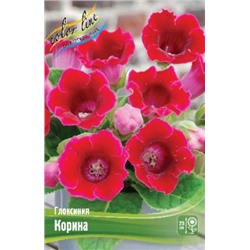Глоксиния Корина 2шт (ИС)