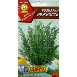 Розмарин Нежность (Аэлита)