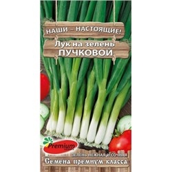 Лук На зелень Первые витамины (ПС) 1,0г