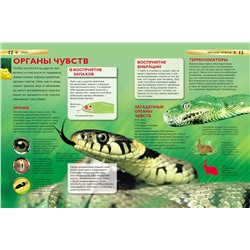 Змеи. Детская энциклопедия