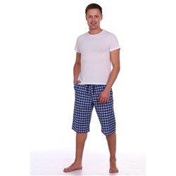 Мужские шорты Алекс (46-56)