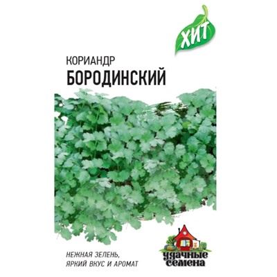 Кориандр Бородинский хит3
