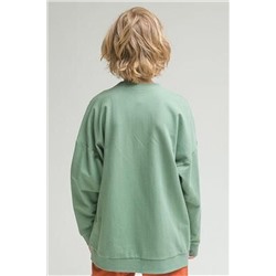 Толстовка PELICAN #799848