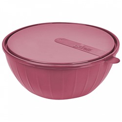Салатник 5 л с крышкой Sugar&Spice Vanilla SE186811054 брусника