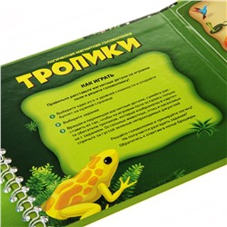 Магнитная головоломка «Тропики»