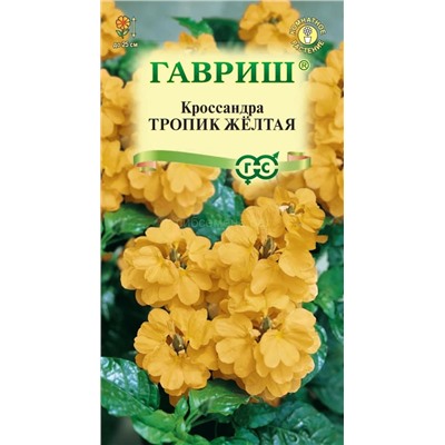 Кроссандра  Тропик желтая (Гавр)