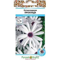 Остеоспермум Прохлада (НК)