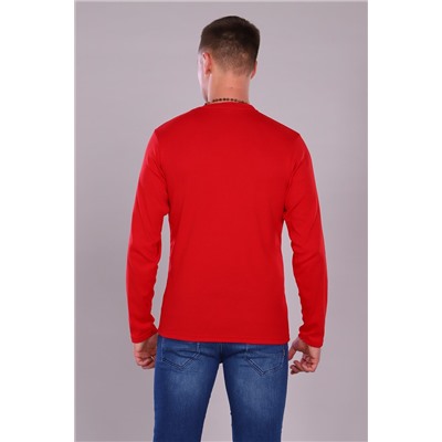 Футболка с дл. рукавом 17572 НАТАЛИ #766824