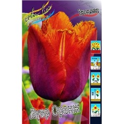 Тюльпан Лувр Оранж 8шт бахр. (ИС)