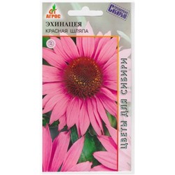 Эхинацея Красная шляпа (Код: 9133)