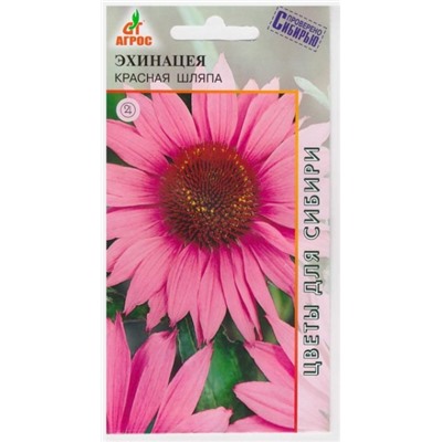 Эхинацея Красная шляпа (Код: 9133)