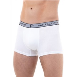 PMH-343 (Трусы мужские шорты, PanteLemone )