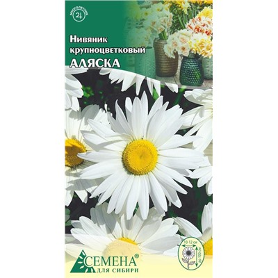 Нивяник Аляска крупный, 0,3г (цв)
