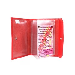 Обложка для авто+паспорт Cayman-200л н/к,  алый матовый (14)  187275