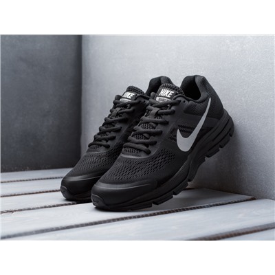 Кроссовки Nike Air Pegasus +30