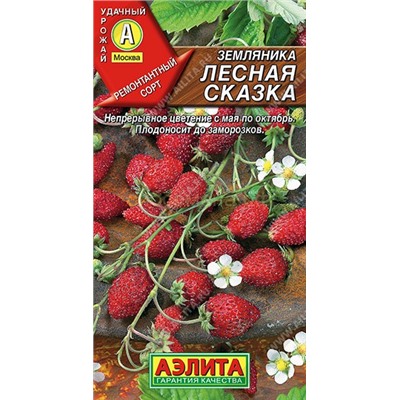 Земляника  Лесная сказка ремонтантная (Аэлита)