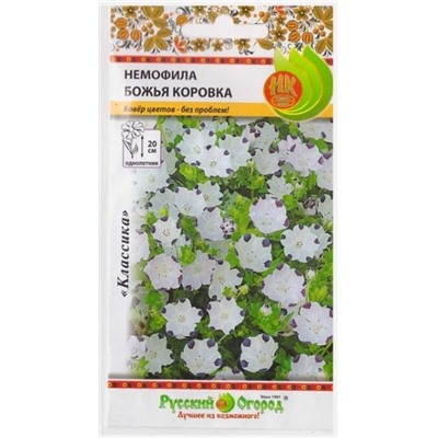 Немофила Божия коровка (Код: 2901)