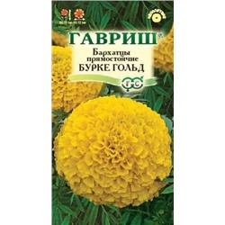Цв.Барх.Бурке Голд (Гавриш) 0,3г прям.