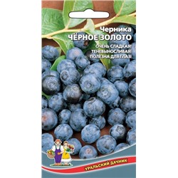 Черника Черное Золото (УД)
