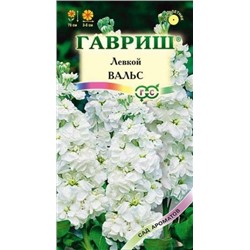 Цв.Левкой Вальс (Гавриш) 0,05г